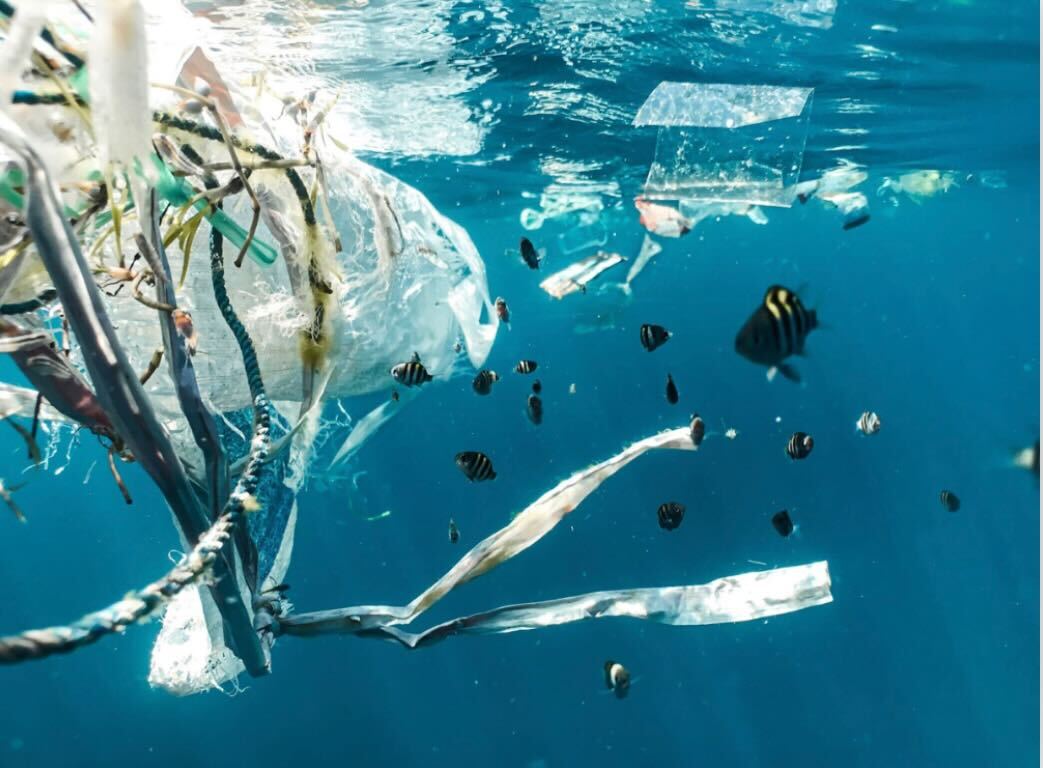 Microplastics - What Are They?