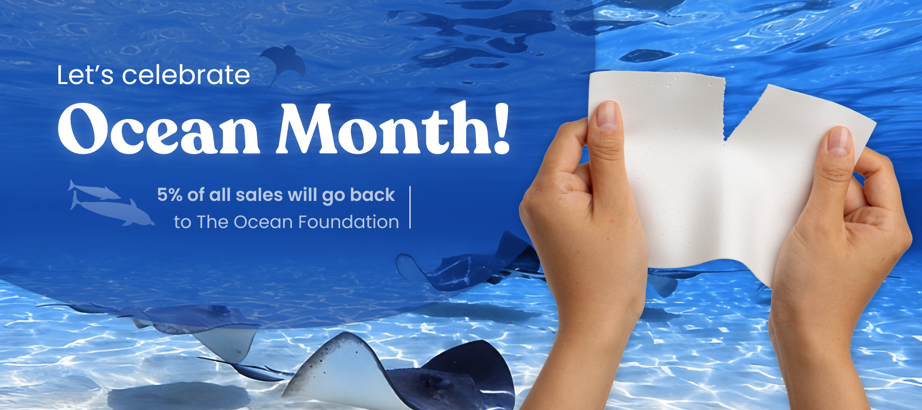 mamap blue bamboo toothbrush - why-we-support-the-mission-of-the-ocean foundation