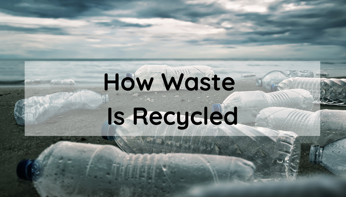 What You Need to Know About Recycling