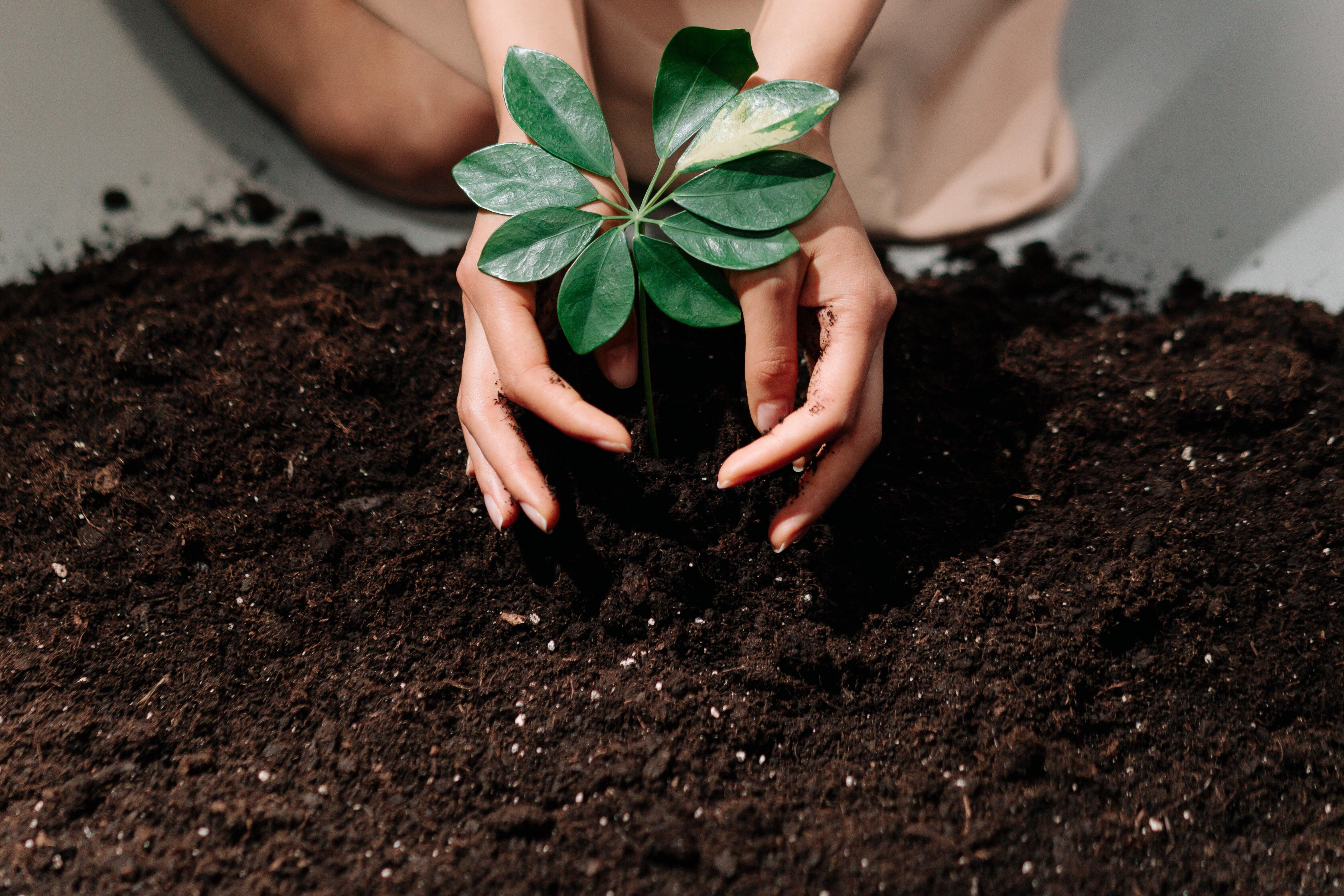 Composting Is Important