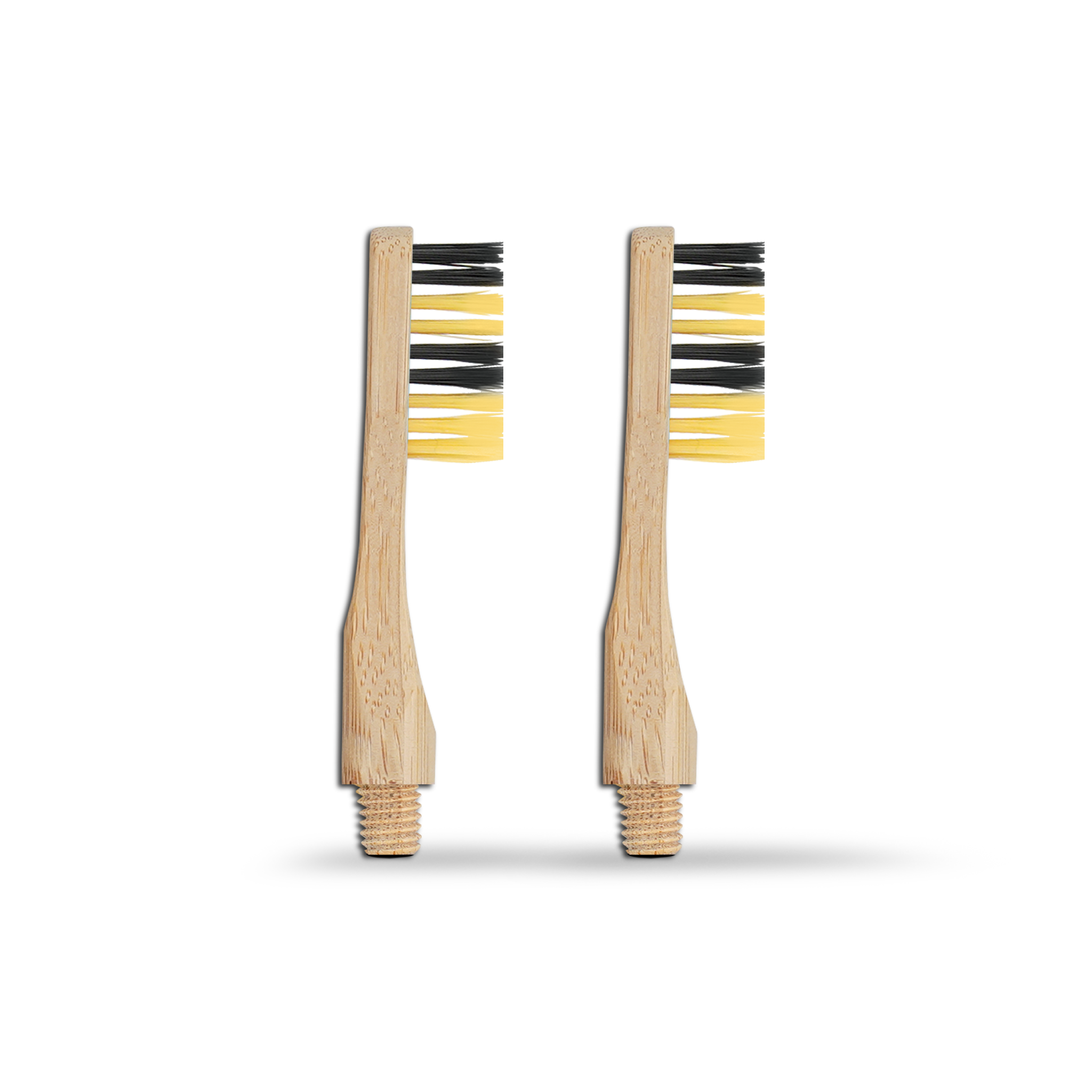 Revolve Manual Toothbrush Heads - Save the bees - MamaP bamboo toothbrush
